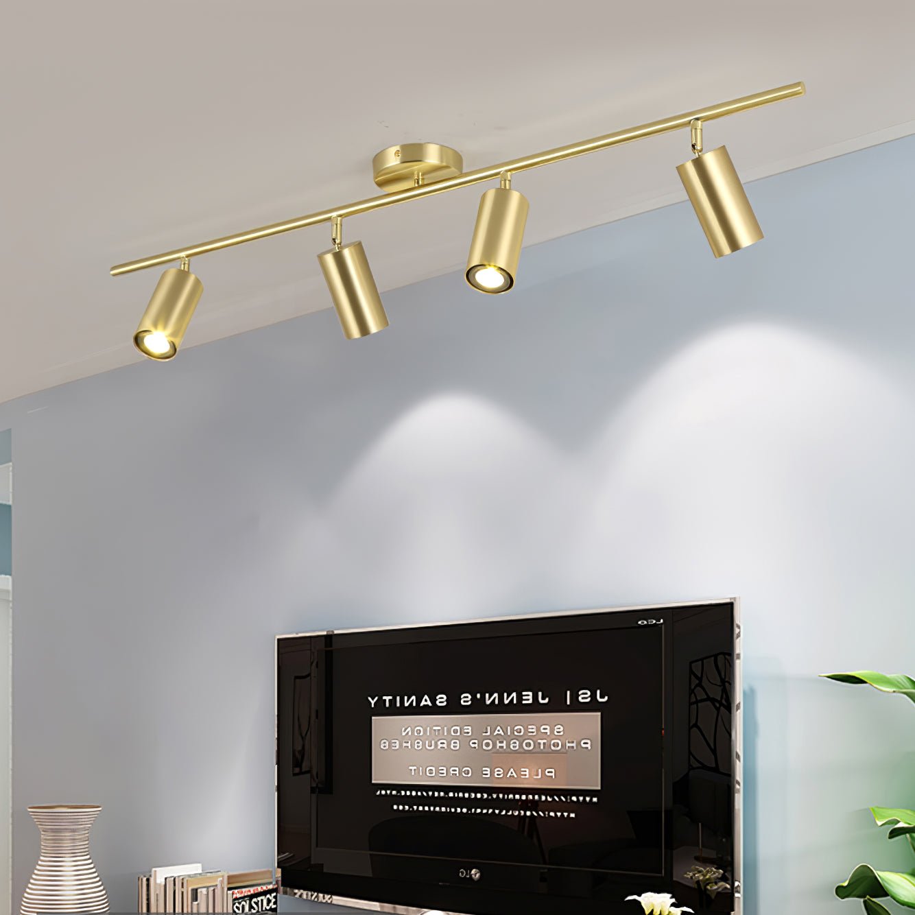 Modern LED Ceiling Light Fixture - Evanna Flush Mount Light for Bedroom, Kitchen, Living Room - Energy Efficient Dimmable Lighting for Home & Office