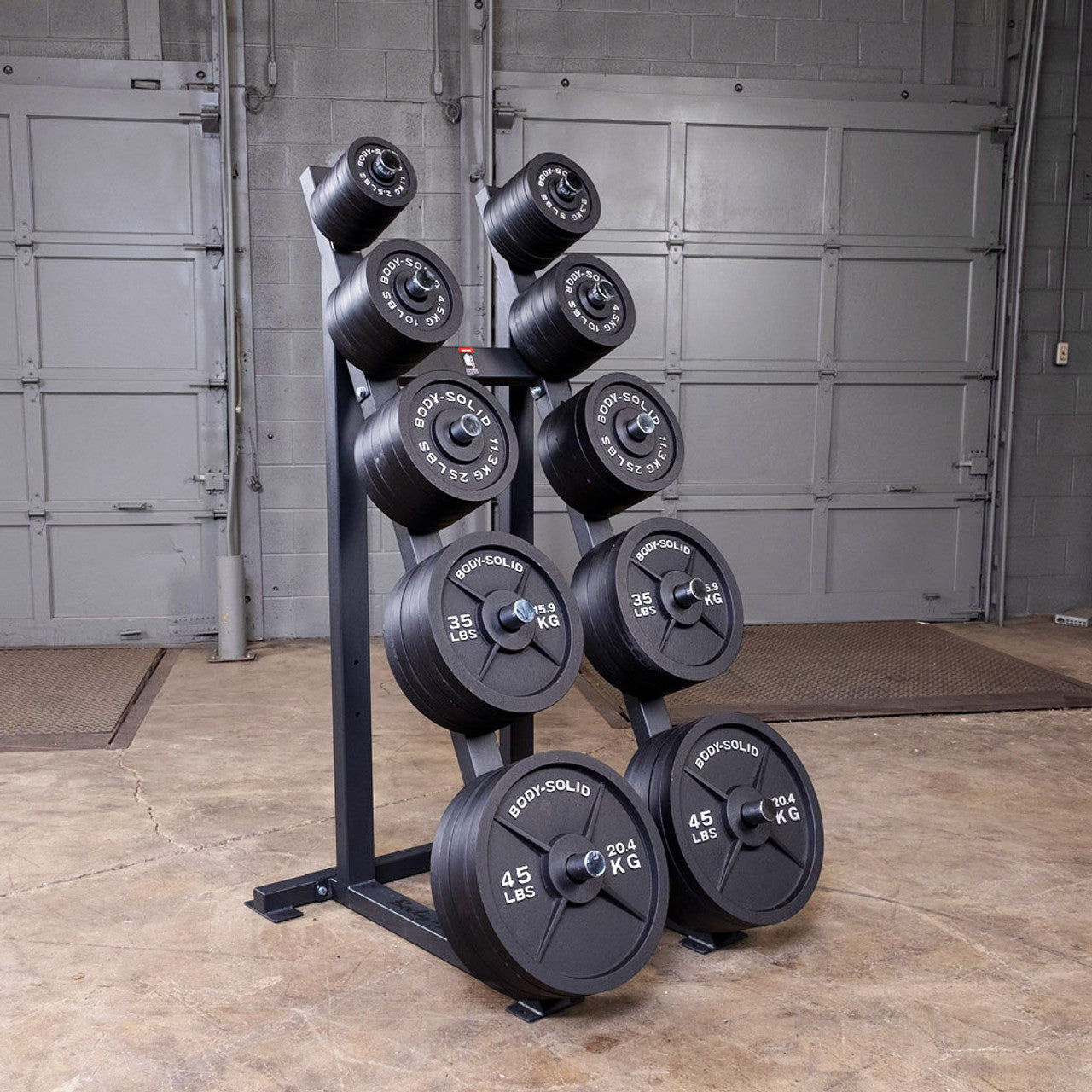 Cast Iron Weight Plates 255LB Set - Olympic Standard Barbell Plates for Strength Training & Home Gym Workouts
