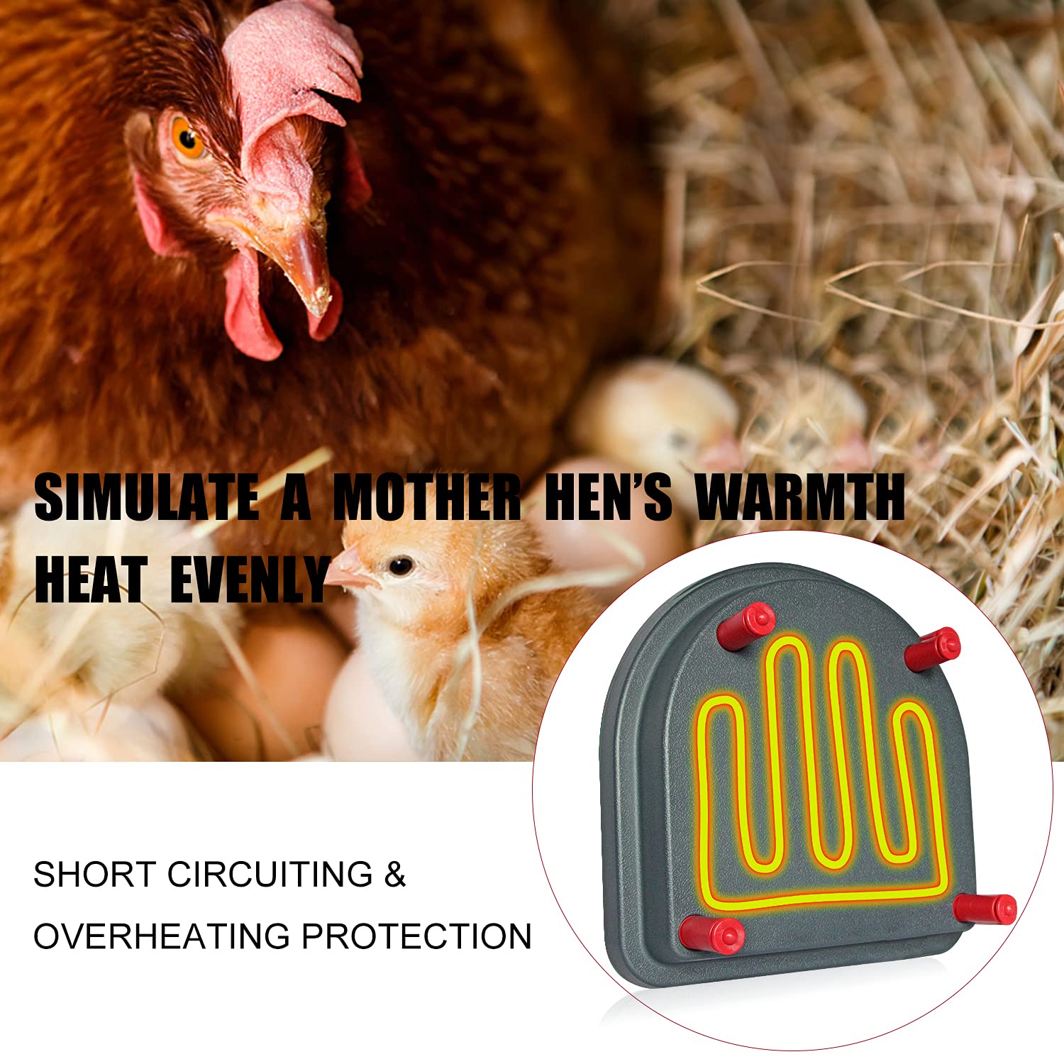 Chick Duckling Brooder Heating Plate - Safe Mother Hen Style Chicken Coop Heater for Up to 15 Chicks & Ducklings | Ideal for Poultry Farm, Backyard Chicken Coop & Pet Duckling Care
