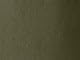 Dark Olive Green