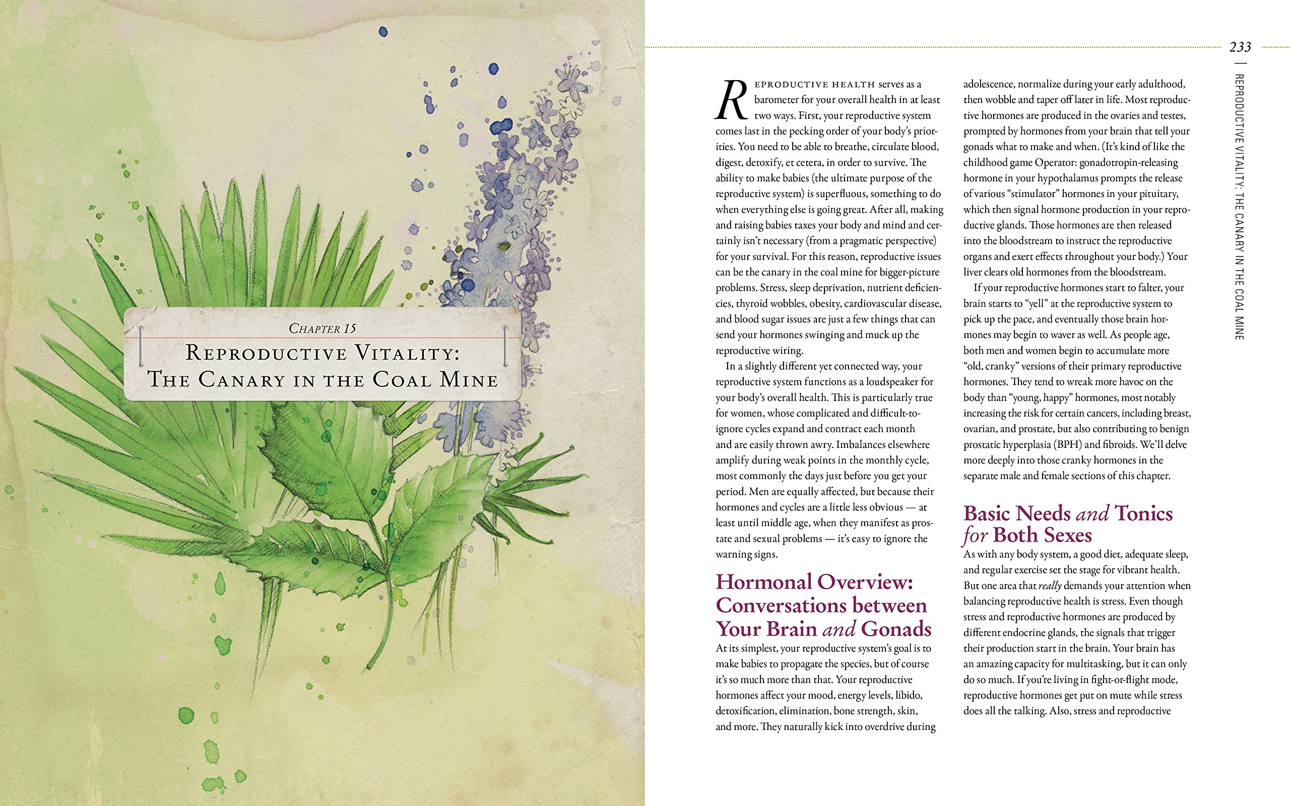 Body into Balance: Herbal Guide for Holistic Self-Care - Natural Remedies for Stress Relief, Better Sleep & Wellness at Home