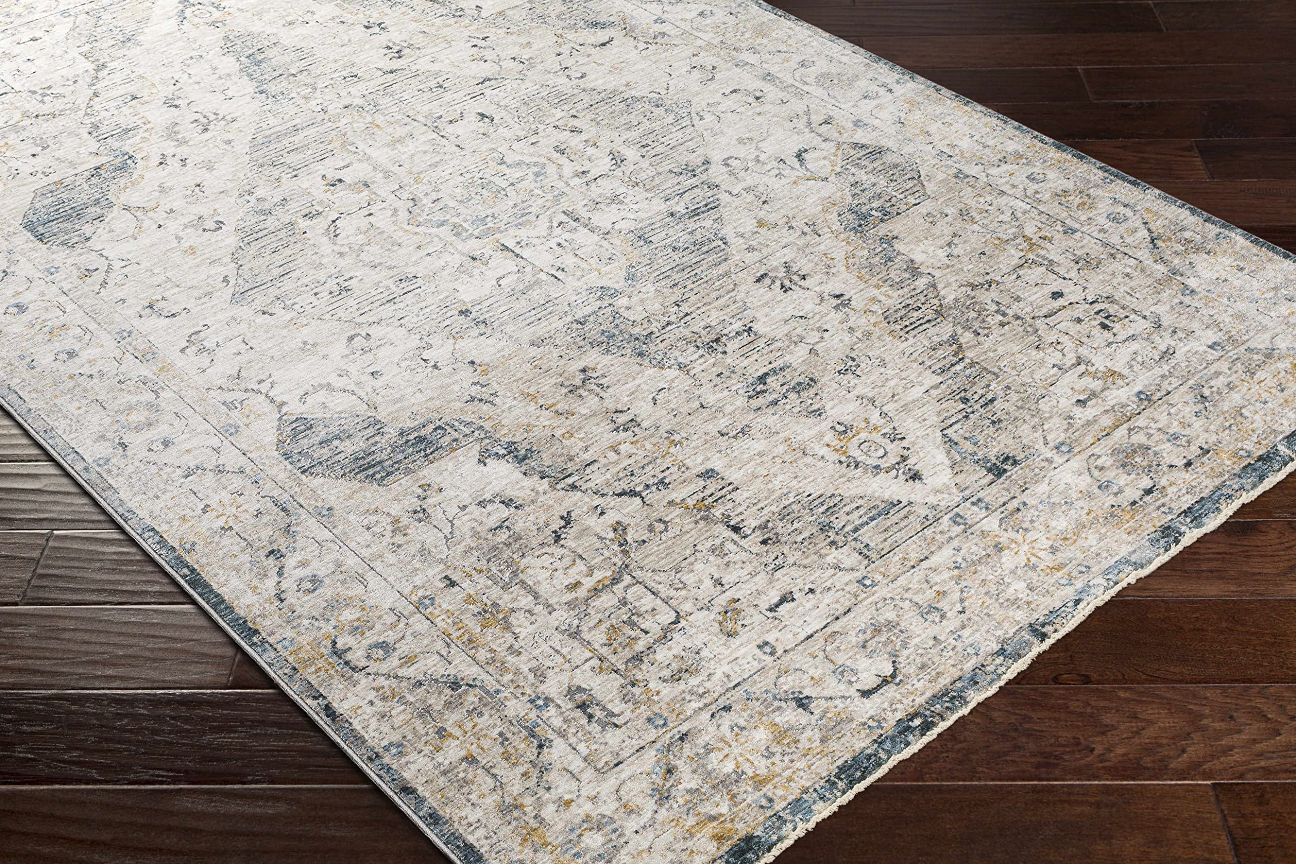 Hauteloom Wadeye Traditional Gray and Blue Area Rug 2'7