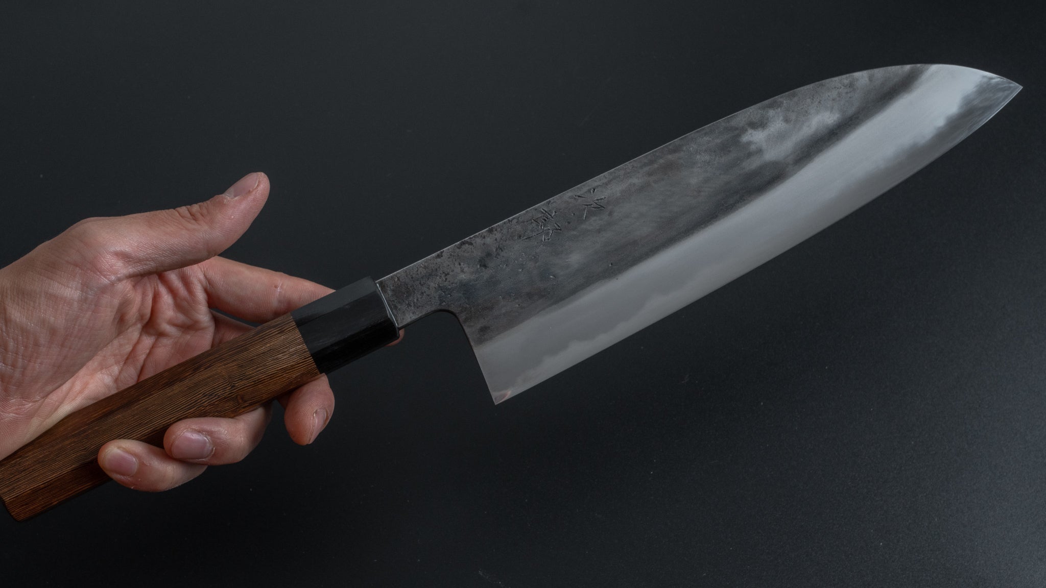 Premium Jiro Tsuchime Wa Gyuto 225mm Japanese Chef Knife with Taihei Tagayasan Handle - Perfect for Sushi, Meat Cutting & Professional Kitchen Use