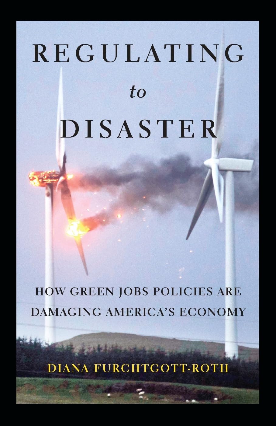 Regulating to Disaster: How Green Jobs Policies Harm America's Economy - Economic Impact Analysis & Policy Debate for Environmental Regulations