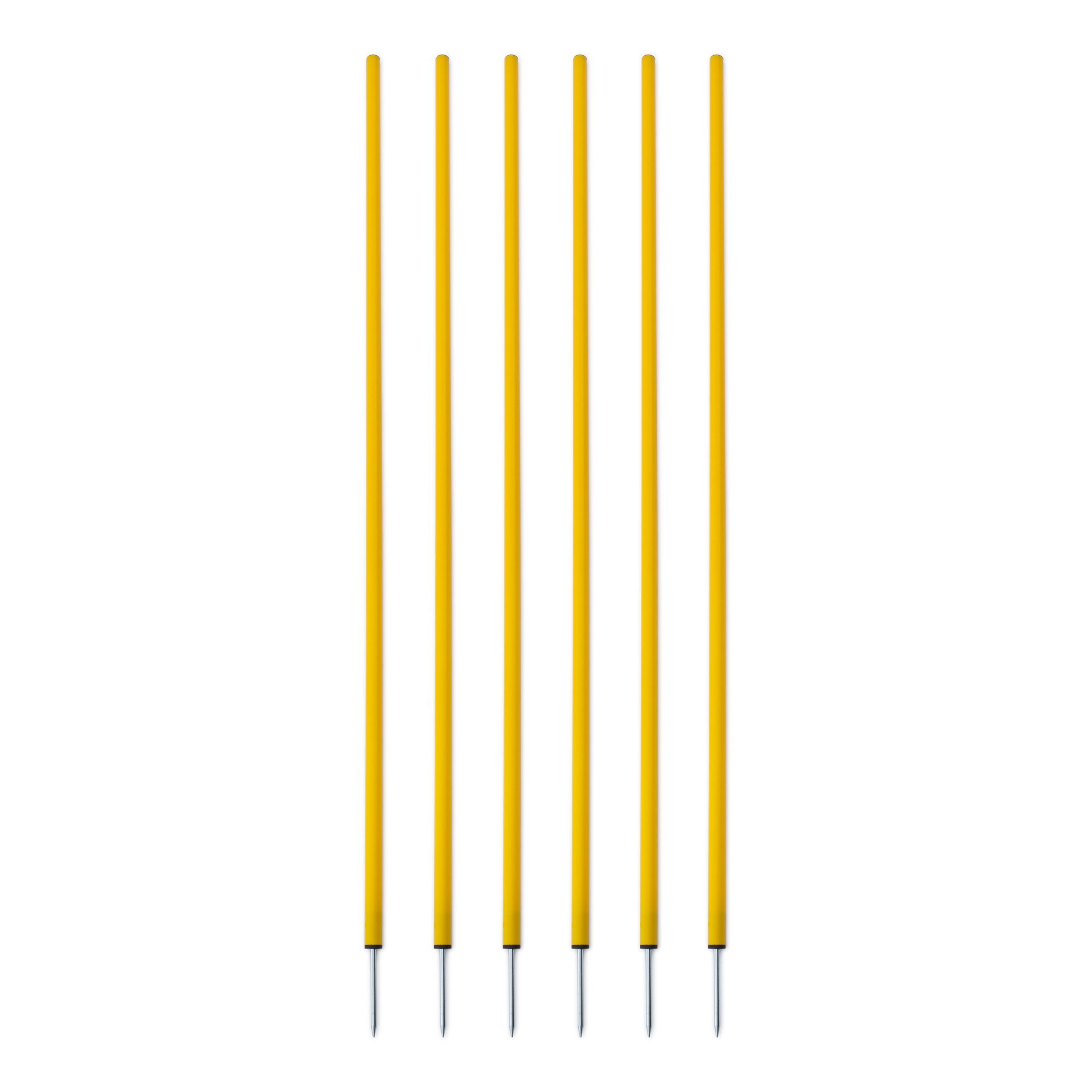 Champion Sports Coaching Sticks - Adjustable Training Aid for Baseball, Softball & Soccer - Perfect for Coaches & Players Practice Drills, Skills Development & Team Training