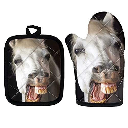 Funny Horse