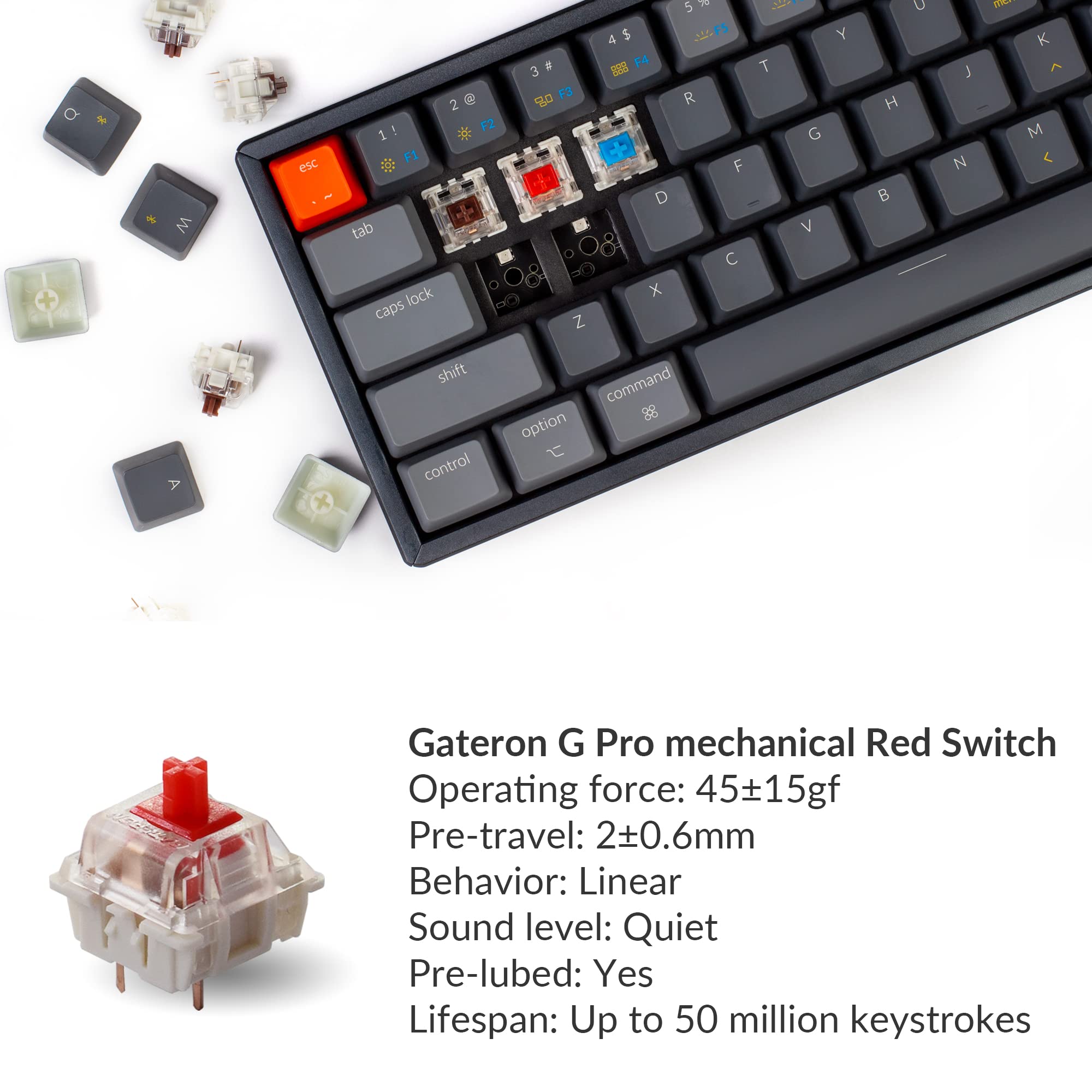 Keychron K12 61-Key Compact Bluetooth Wireless & USB Wired Mechanical Keyboard - Gateron G Pro Red Switches, RGB Backlit, N-Key Rollover, Aluminum Frame - Gaming Keyboard for Mac & Windows PC (Perfect for Office Work, Programming & Esports)