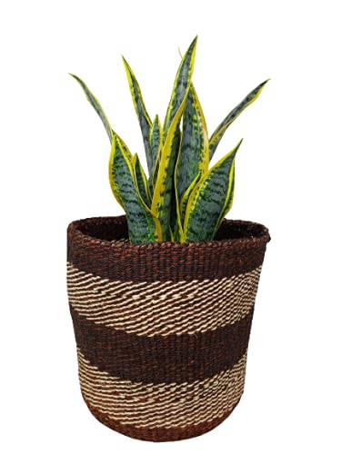 9x9 Inch Woven Plant Basket - Rustic Round Planter Cover for Indoor/Outdoor Plants | Home Décor for Living Room, Patio & Garden | Brown Natural Fiber Basket