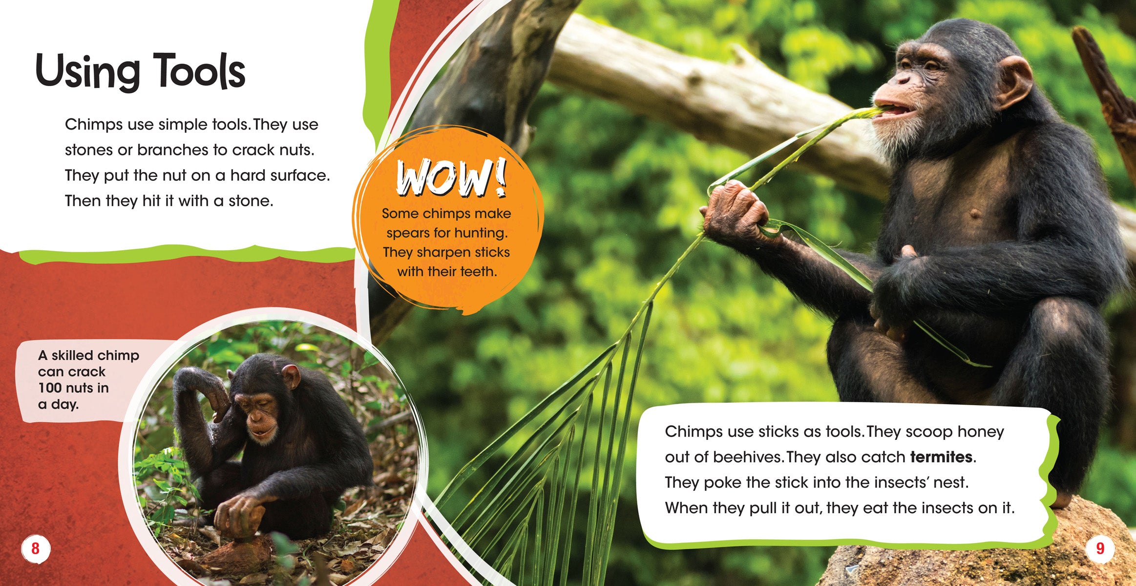 Endangered Chimpanzees - Save Wildlife & Protect Chimpanzee Habitats | Perfect for Animal Lovers, Conservationists & Eco-Friendly Gifts