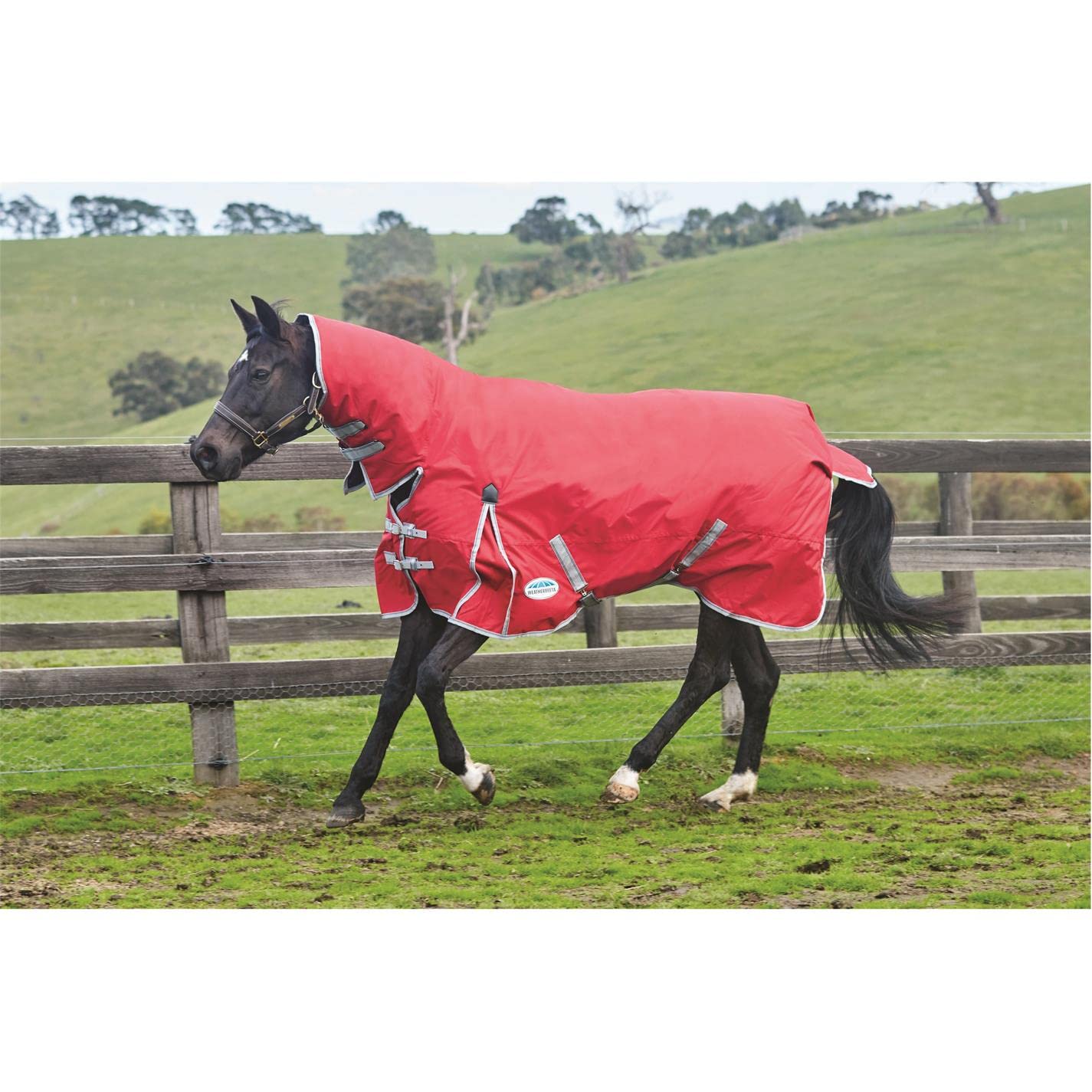 WeatherBeeta ComFiTec Classic Combo Neck Medium Horse Blanket - 75