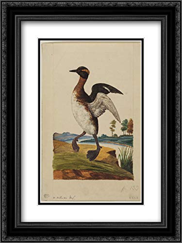 William Williams 'Bird Poised By A River' 18x24 Inch Museum Art Print - Double Matted & Ornate Black Frame - Perfect for Living Room, Bedroom, or Office Wall Decor