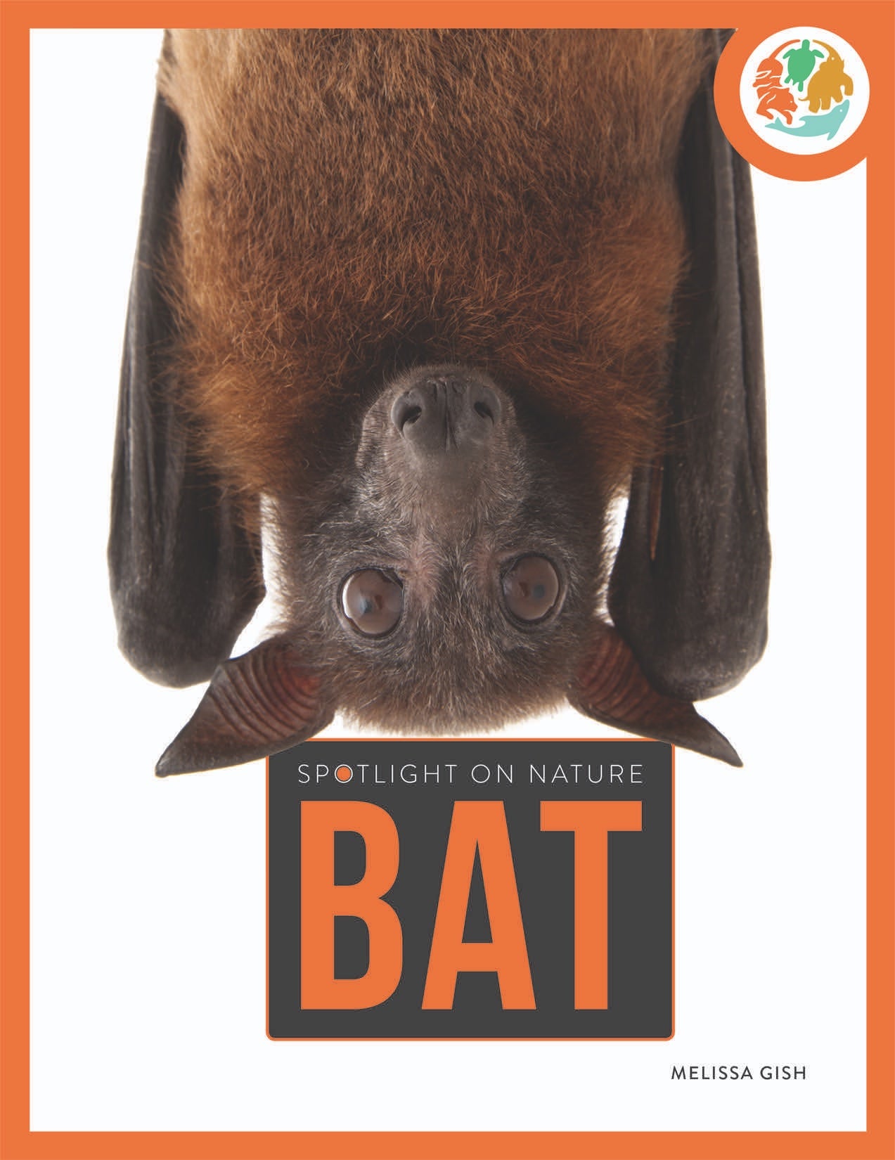 Bat 9781640263376 - High-Quality Baseball Bat for Training & Games | Perfect for Baseball Enthusiasts & Players