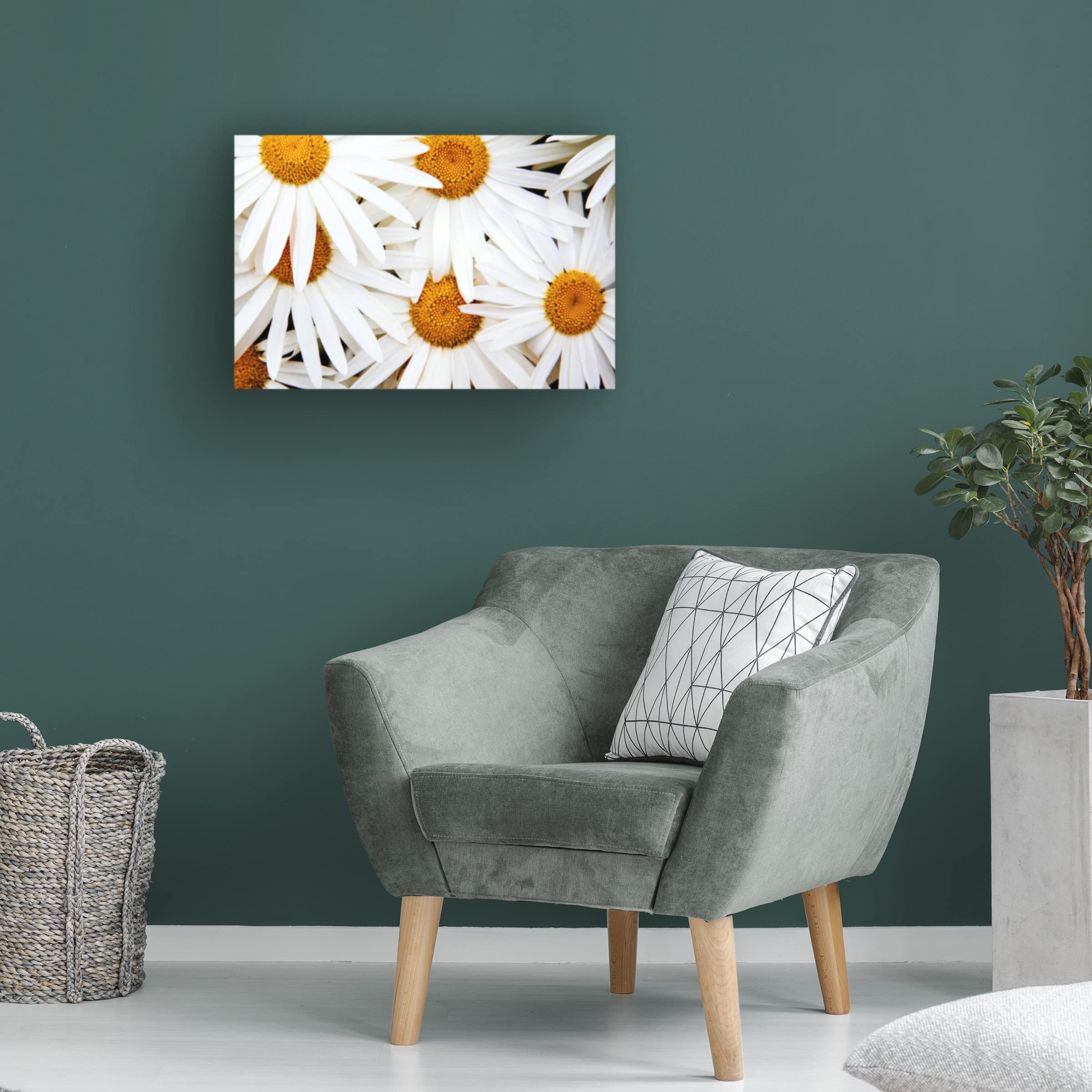 Michael Broom 'Daisy Splash' Canvas Wall Art Print - Modern Floral Home Decor for Living Room, Bedroom & Office - Trademark Fine Art Collection