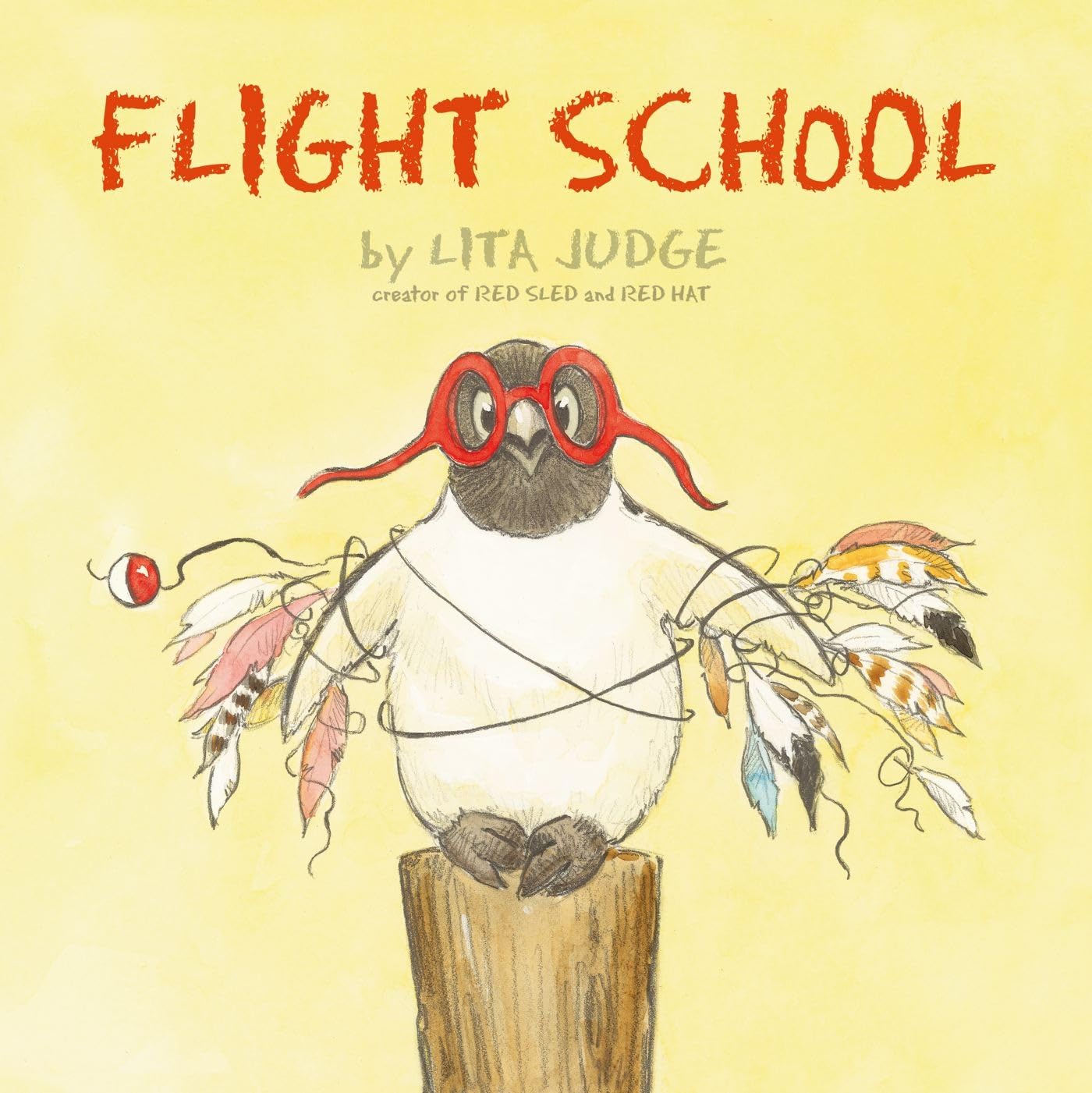 Flight School - Pilot Training & Aviation Courses Online | Learn to Fly & Get Certified for Private or Commercial Pilot License