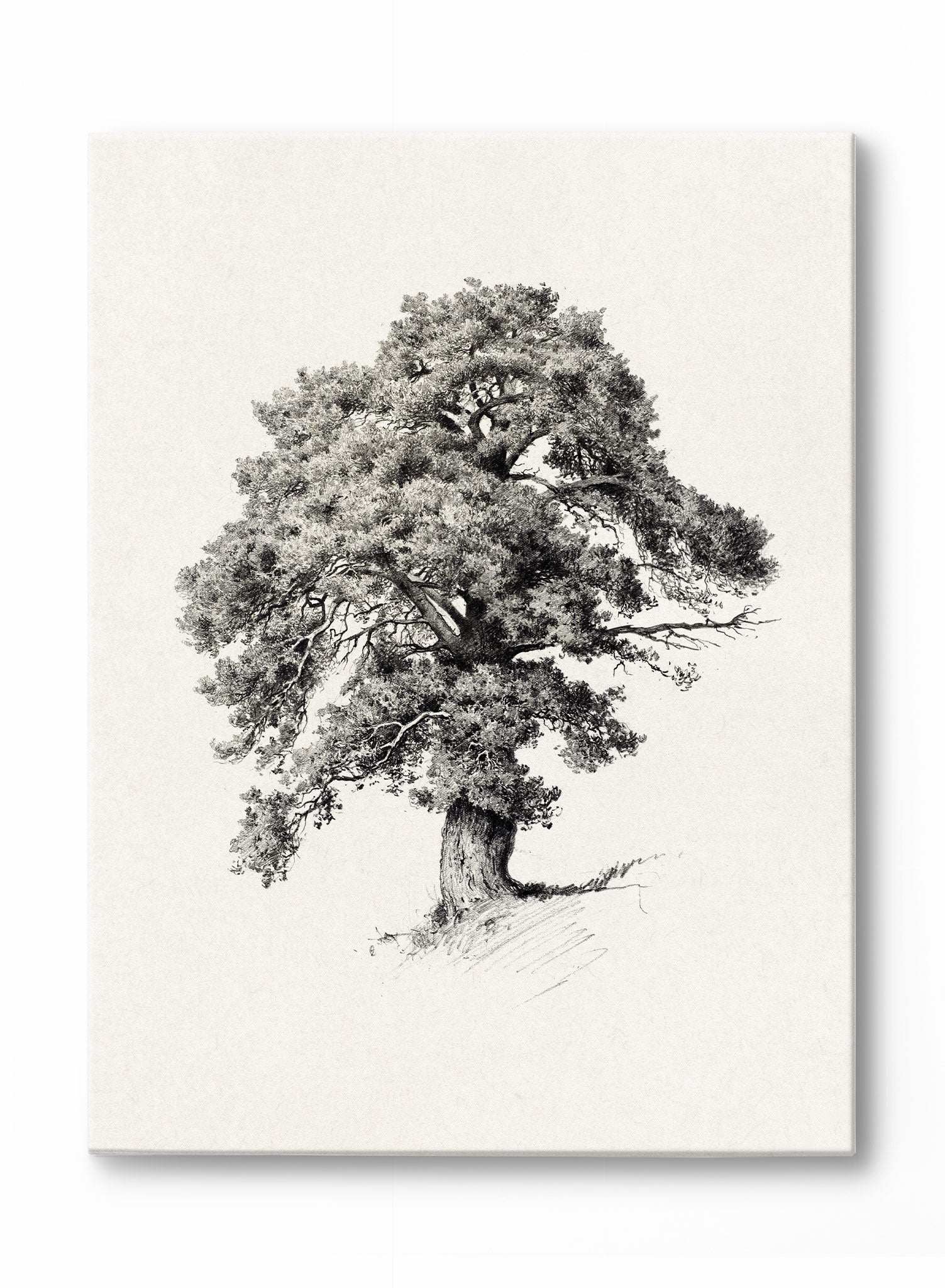 Premium Mighty Tree Canvas Wall Art - Nature Inspired Home Decor for Living Room, Bedroom & Office