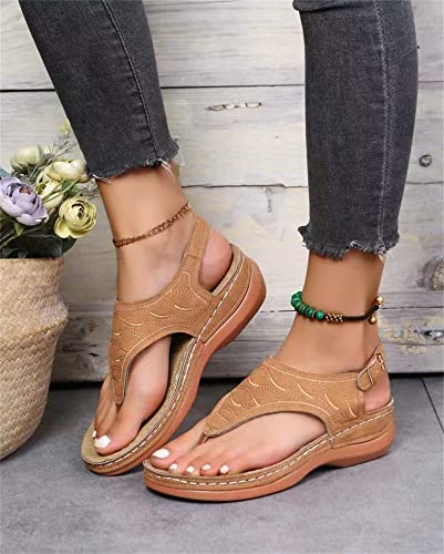 Wb-brown