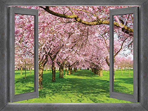 Row of Cherry Blossom Trees