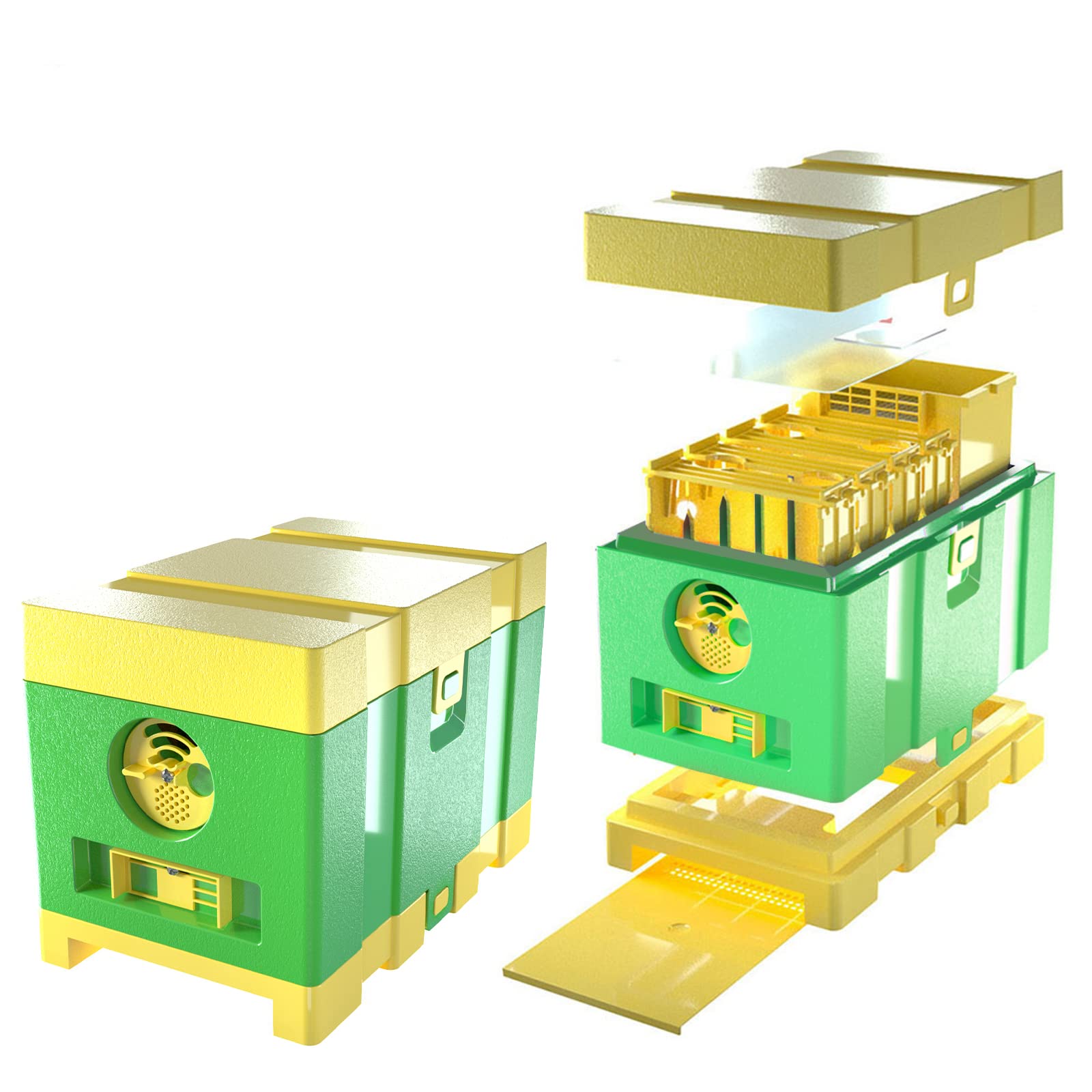 Queen Bee Mating Nuc Hive Box - Mini Beehive for Queen Rearing & Beekeeping (Green) | Perfect for Backyard Beekeepers & Apiary Enthusiasts