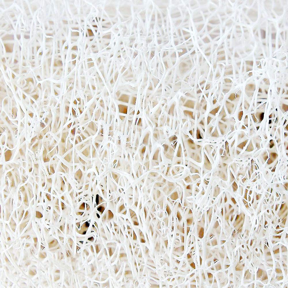 10-Pack Natural Loofah Sponges for Dishwashing, Kitchen Cleaning, and Bath Scrub – Eco-Friendly, Biodegradable, and Gentle on Cookware – Perfect for Sinks, Showers, and Household Chores