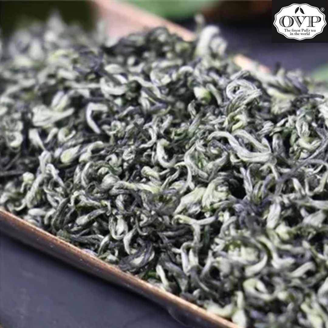 Premium Bi Luo Chun Green Tea 2024 First Harvest - Limited Stock | Fresh, High-Quality Loose Leaf Tea for Daily Relaxation & Gift Giving