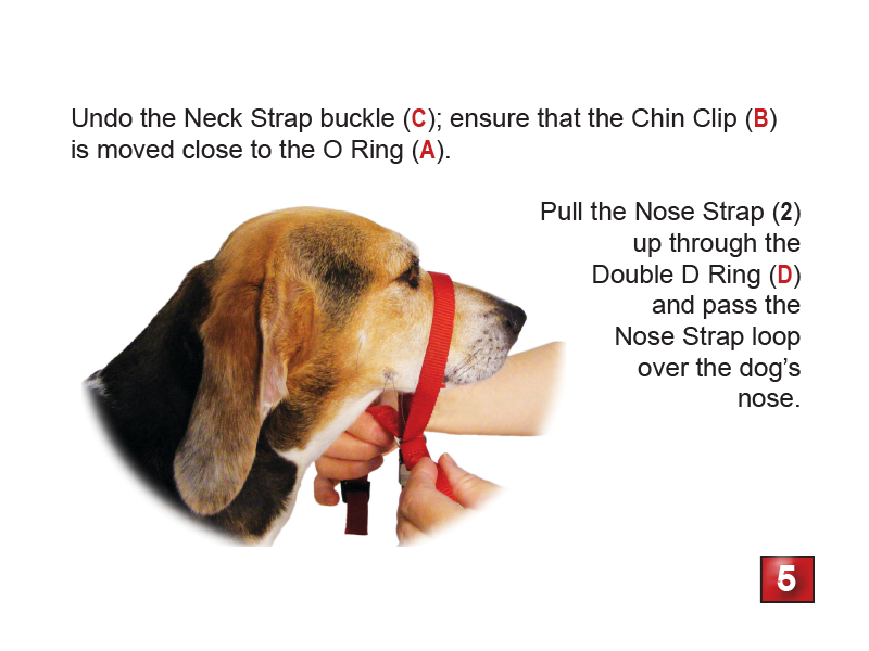 Gentle Leader Headcollar - No-Pull Dog Training Collar for Large & Small Dogs | Perfect for Walking, Training & Behavioral Control