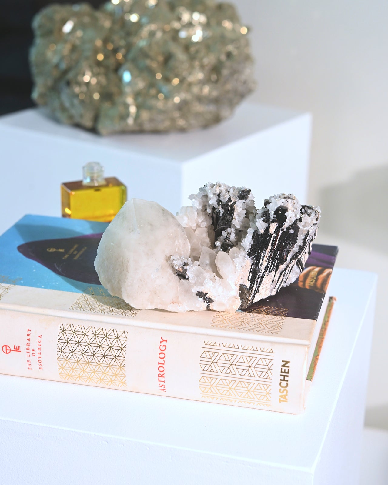 Natural Hubnerite with Quartz Crystal Cluster - 6 Inch Mineral Specimen for Collectors, Healing & Home Decor