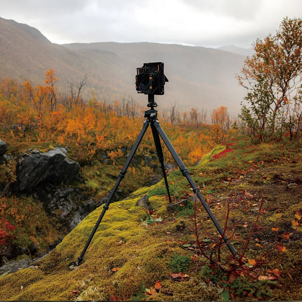 Ulanzi Falcam TreeRoot Quick Lock Pro Tripod T00A4901 - Professional Camera Tripod with Quick Release for DSLR, Mirrorless & Video - Perfect for Travel, Vlogging & Outdoor Photography