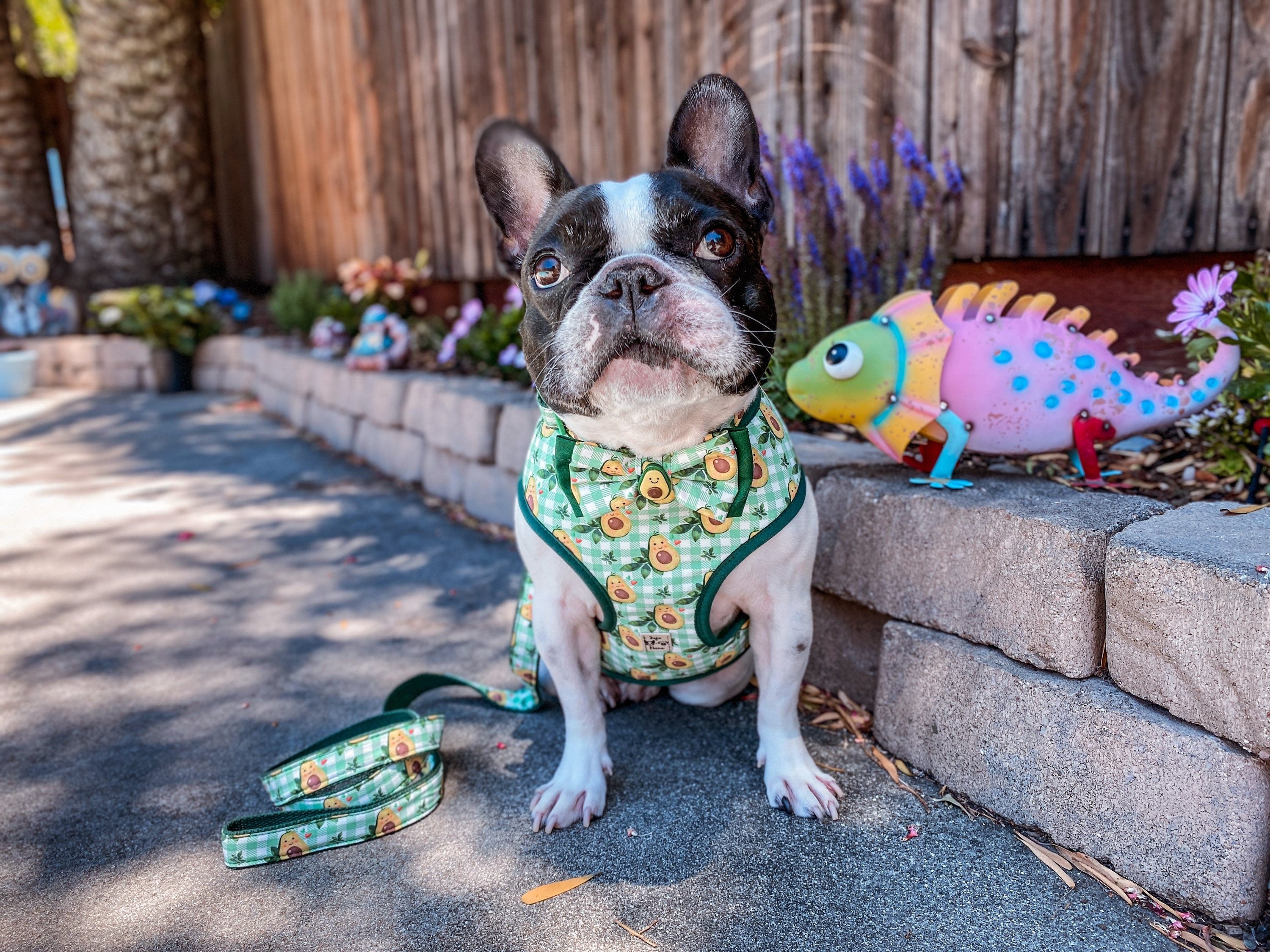 Premium Dog Harness Set - Avocado Green & Plaid Pattern - Adjustable & Comfortable for Small to Medium Dogs - Perfect for Walking, Hiking, and Outdoor Adventures