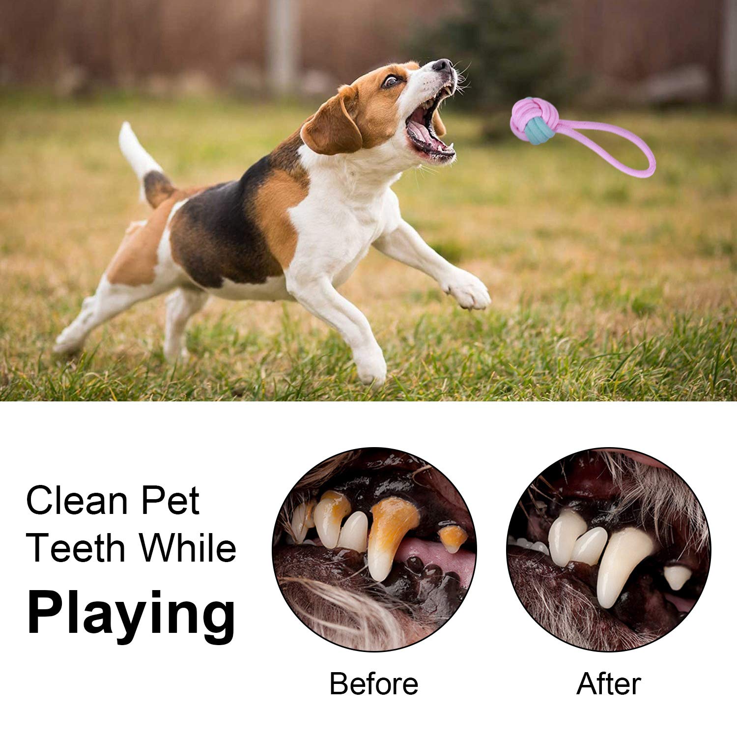 7 Pack Durable Dog Rope Toys - Interactive Chew Toys for Puppies & Dogs, Nearly Indestructible Rope Ball for Aggressive Chewers - Perfect for Fetch, Tug of War & Teeth Cleaning Playtime