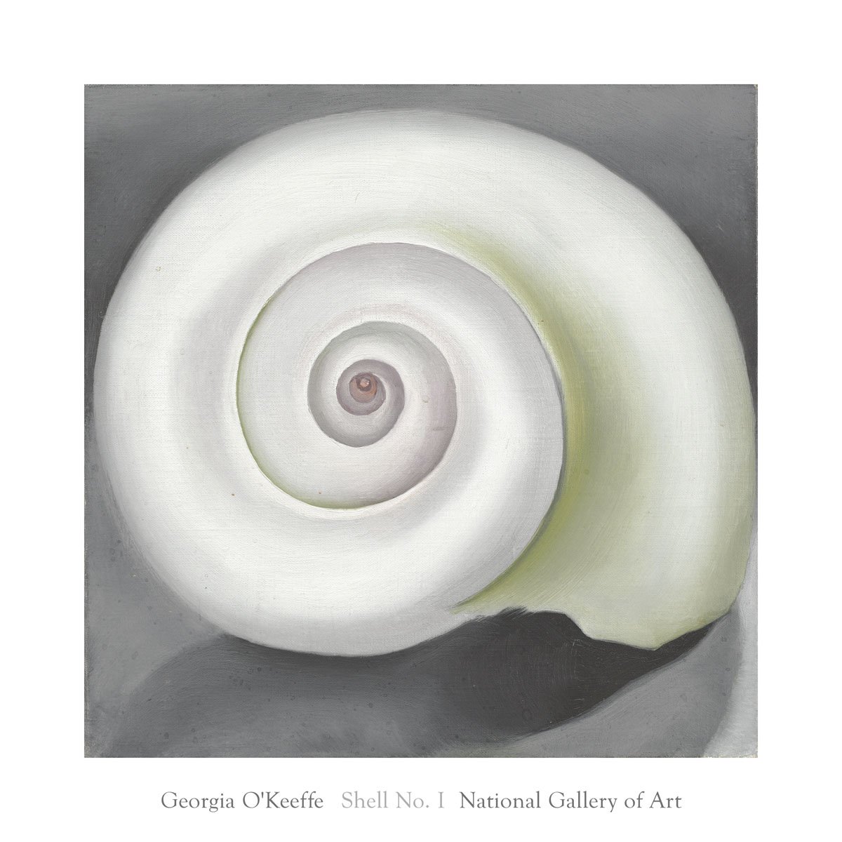Georgia O'Keeffe Shell No. I 1928 Art Poster Print - 20x20 Inches with 16x16 Image - Vintage Wall Decor for Living Room, Bedroom & Office