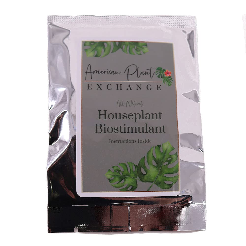 Organic Indoor Plant Food Tabs - Houseplant Fertilizer for Foliage & Edibles | 2-Pack Lasts 1 Year | Perfect for Pothos, Herbs & Vegetable Gardens | American Plant Exchange