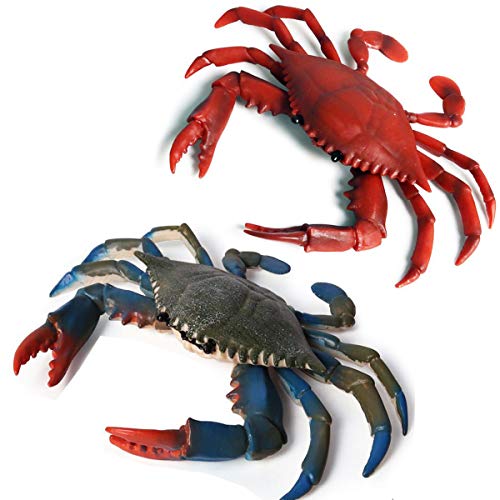 Red and Blue