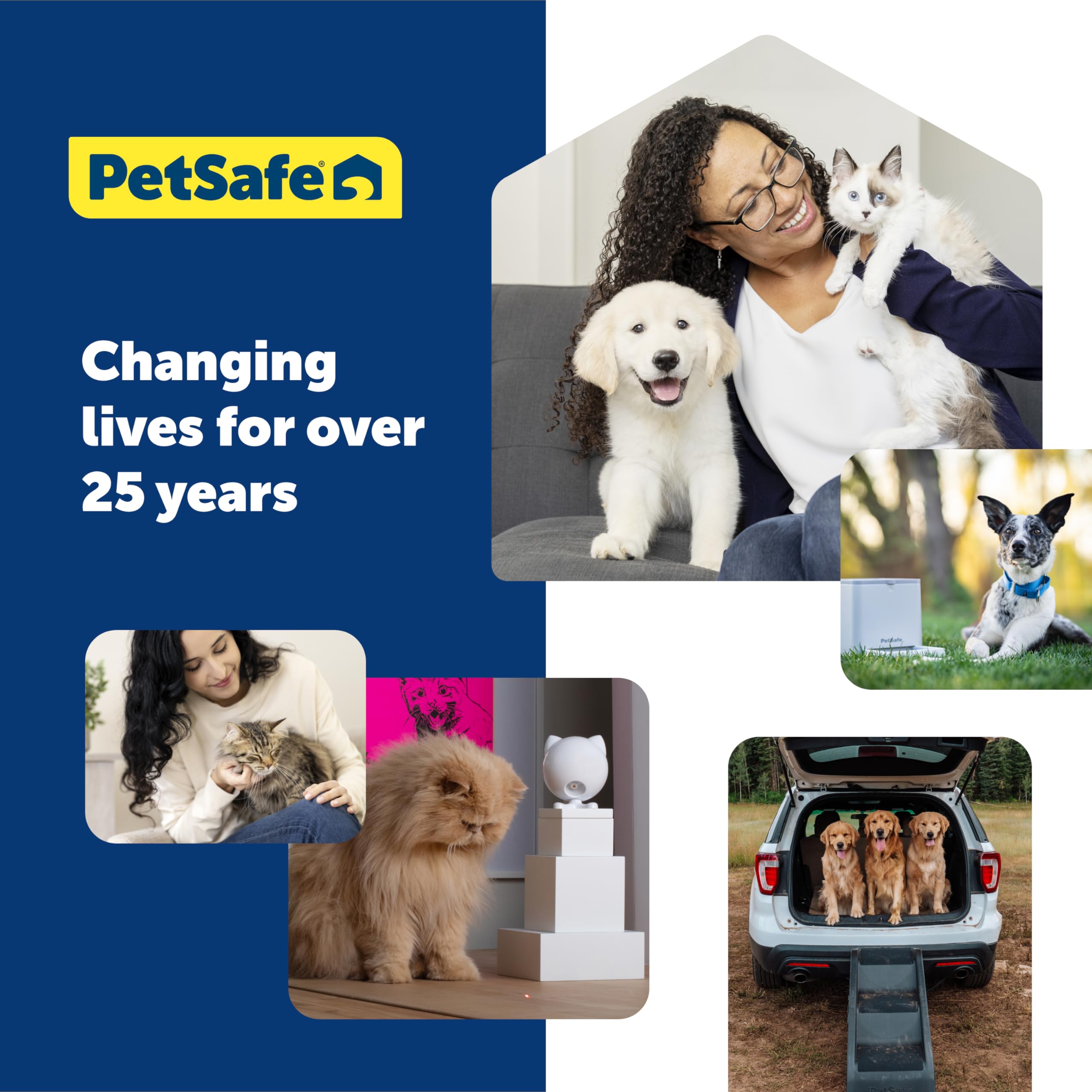 PetSafe Elite Little Dog In-Ground Fence Receiver Collar - Waterproof Training Collar for Small Dogs Over 5 lbs with Tone & Static Stimulation - Ideal for Backyard Containment & Dog Safety - From Invisible Fence Brand Parent Company