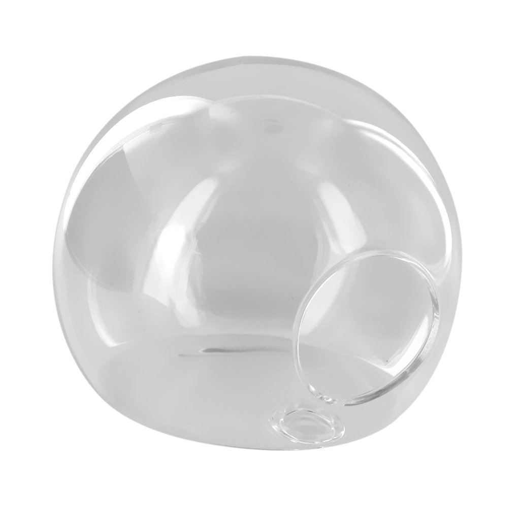 Clear Glass Hanging Wall Vase for Plants and Flowers - Modern Home & Garden Decor - Perfect for Succulents, Air Plants, and Floral Arrangements in Living Rooms, Kitchens, and Outdoor Spaces