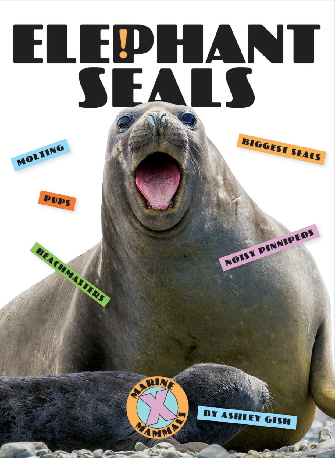 Elephant Seals Book - ISBN 9781640261891 - Learn About Marine Wildlife & Conservation for Kids & Adults