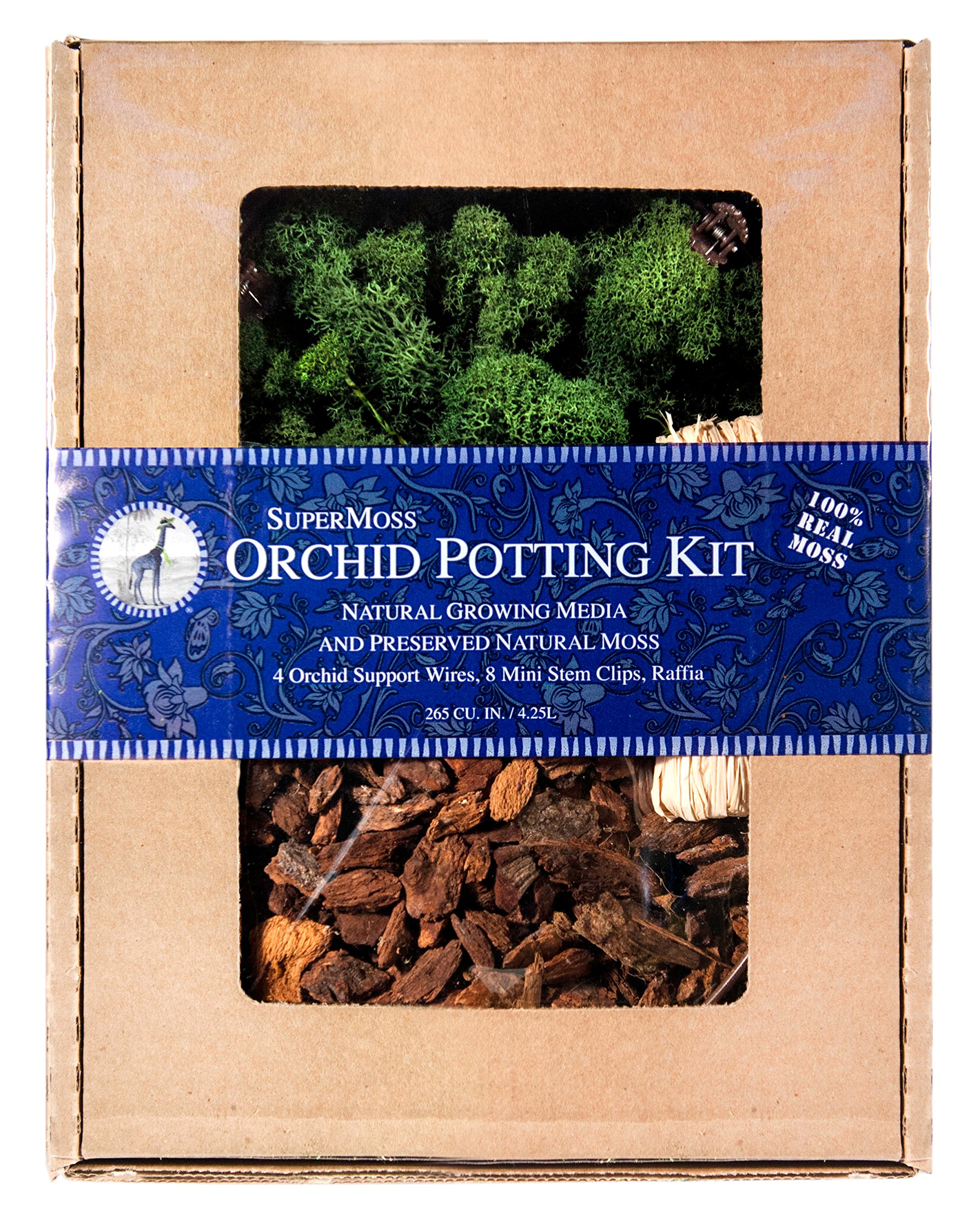 SuperMoss (90507) Orchid Potting Kit with Reindeer Moss - Forest Green, 200 Cubic Inches - Perfect for Orchid Care, Terrariums & Indoor Plant Decor