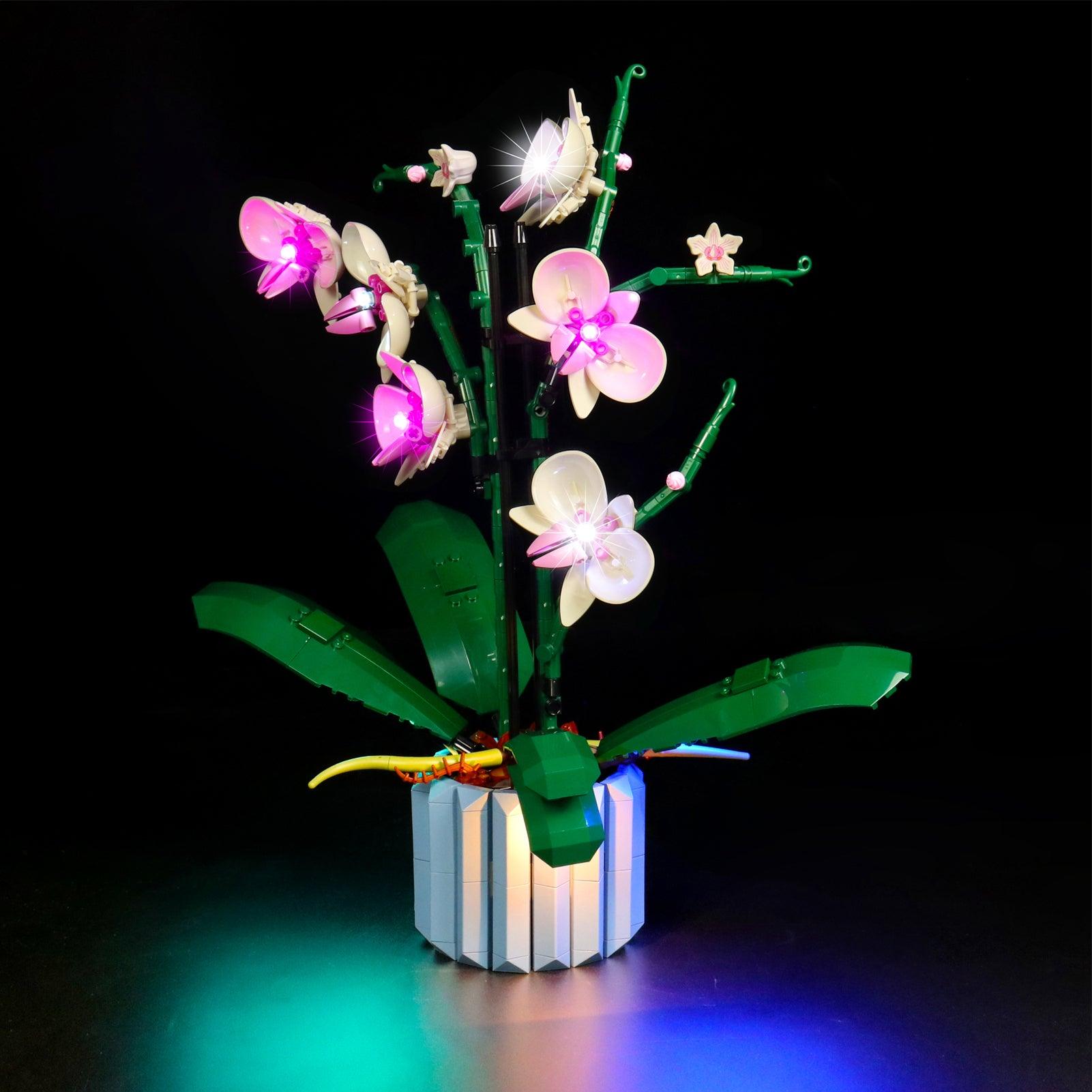 Premium LED Light Kit for Lego Ideas Orchid Plant Decor 10311 – Enhance Your Lego Flower Display with Realistic Lighting for Home & Office Decor