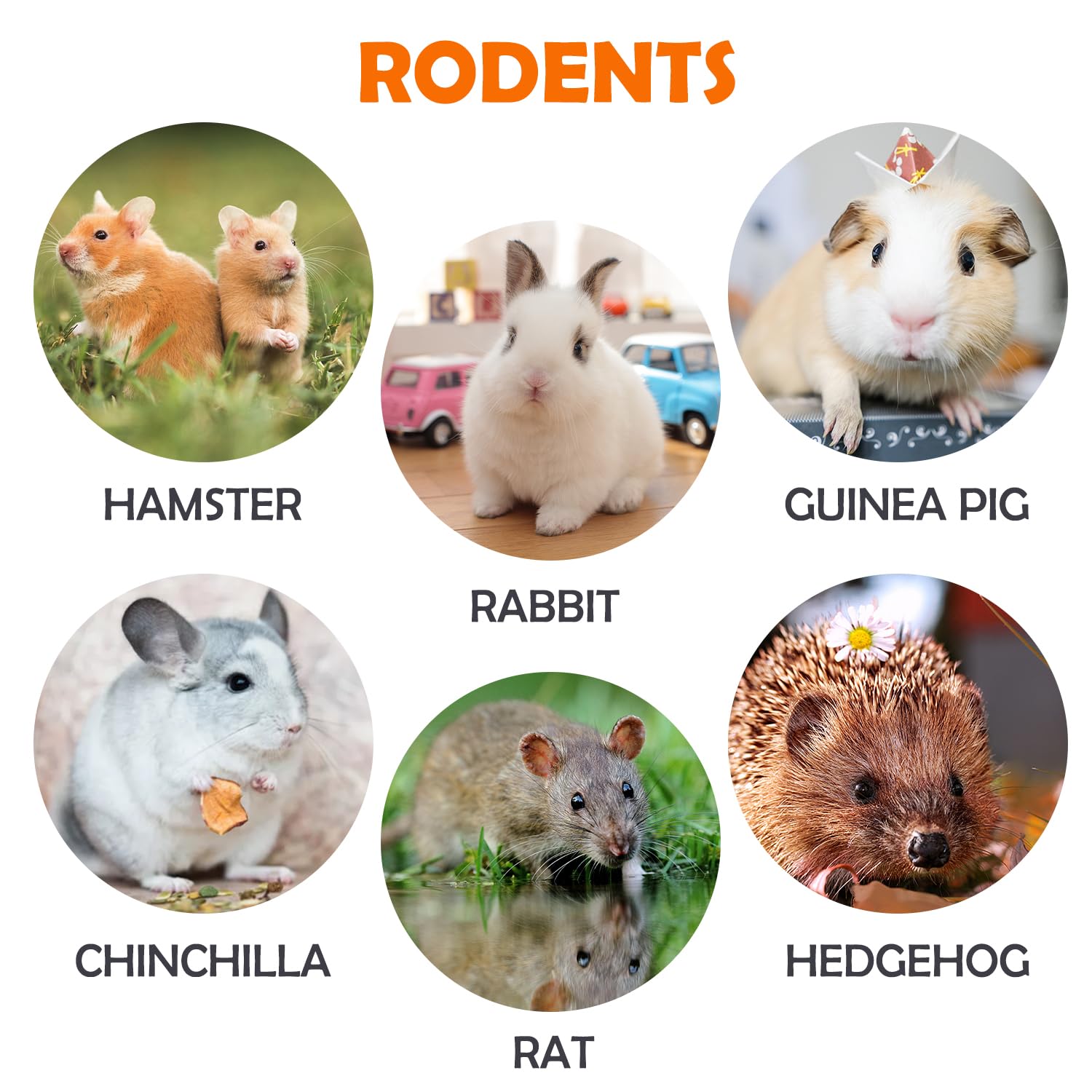 Natural Handmade Chew Grass Balls for Rabbits, Guinea Pigs, Chinchillas & Small Pets - 8pc Teeth Enrichment Treats for Hamsters, Rats, Gerbils & Mice - Safe Chewing Toys for Dental Health & Cage Enrichment