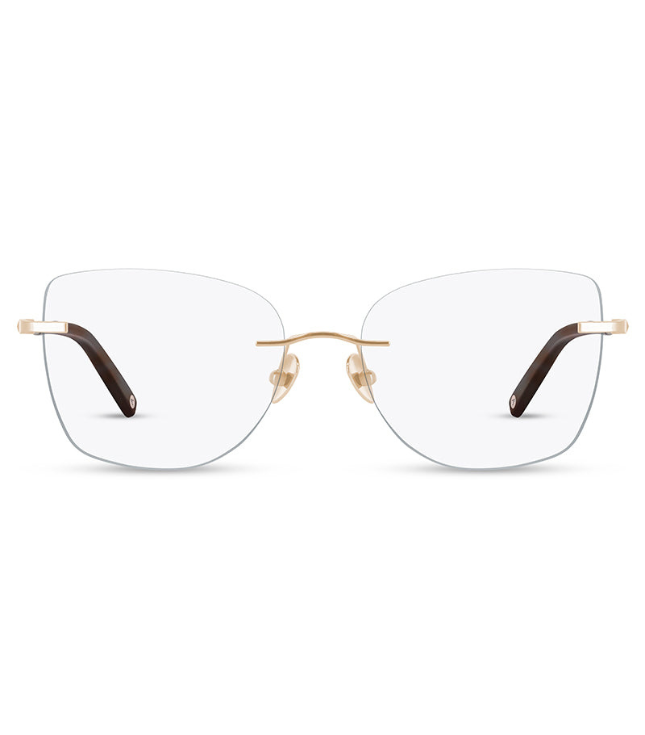 Col.01 Shiny Light Gold And Polished Tortoiseshell Tips