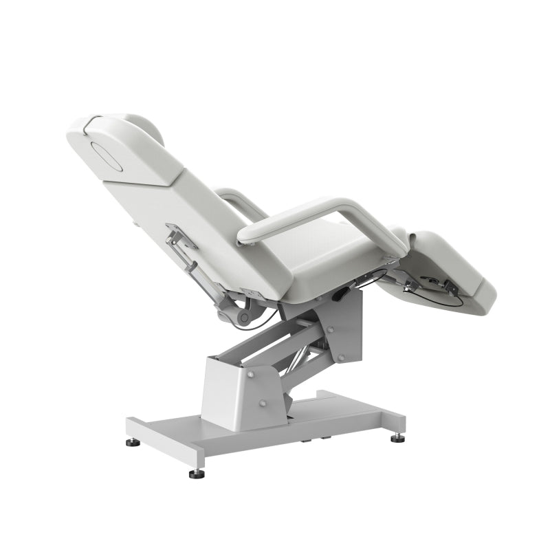 Silverfox 2 Motors Electric Facial Spa Bed Chair 2219B - Professional Massage Table for Salon & Spa, Adjustable Reclining Beauty Bed with Dual Motors - Perfect for Facial Treatments, Massage Therapy, and Skin Care Procedures