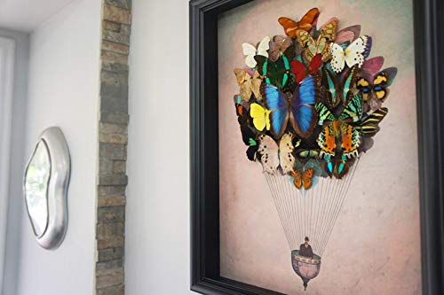 Real Framed Butterfly Art Hot Air Balloon - Nature Inspired Wall Decor for Living Room, Bedroom & Office | Unique Home Decoration Gift Idea
