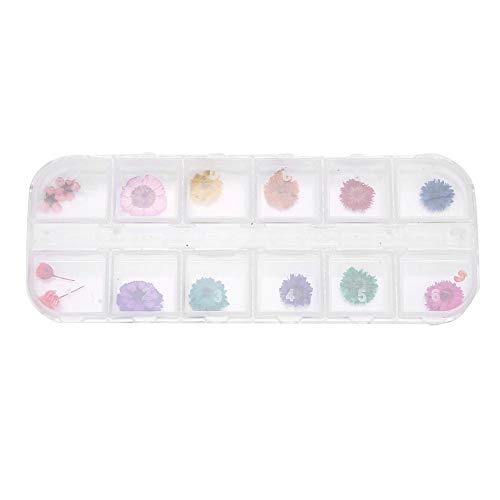 DIY Nail Art Dried Flowers - Acrylic Resin Nail Decorations for UV Gel & Nail Polish - Perfect for Nail Art Designs, Manicures & Home Salons (Style D)