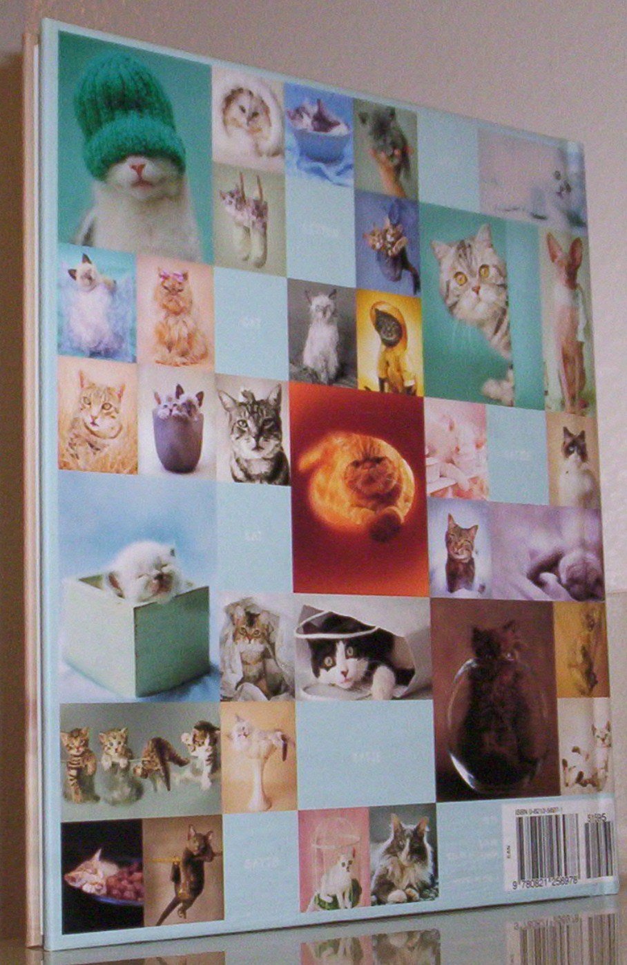 My Cat Record Book - Pet Health & Vaccination Tracker for Cats | Perfect for Vet Visits & Grooming Schedules