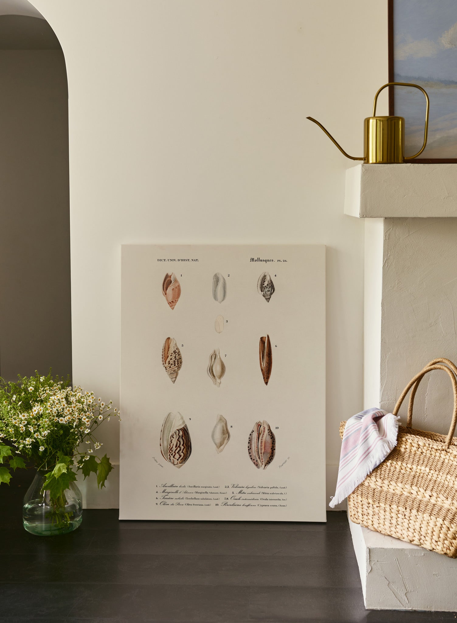Nautical Jewelry & Wall Art - Perfect for Beach House Decor, Coastal Themed Rooms & Nautical Gifts