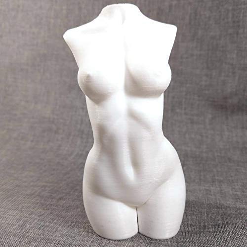 3D Printed White Female Torso Statue - Modern Home Decor, Art Studio Display, Photography Prop, and Contemporary Sculpture Collection