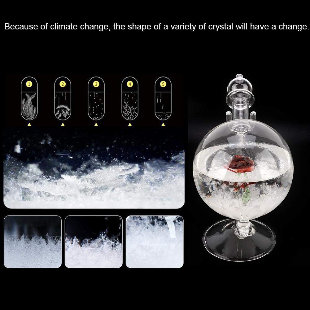 AUNMAS Storm Glass Weather Predictor - Crystal Globe with Water Shape for Home & Office Decor - Perfect for Weather Enthusiasts, Unique Gift & Feng Shui Decor