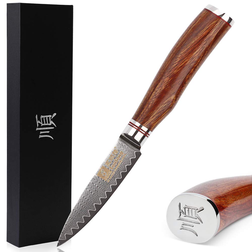 Premium 3.5 Inch Damascus Steel Paring Knife - Japanese Hammered Fruit & Vegetable Knife with Natural Bloodwood Handle - Perfect for Kitchen, Camping & Gift Giving