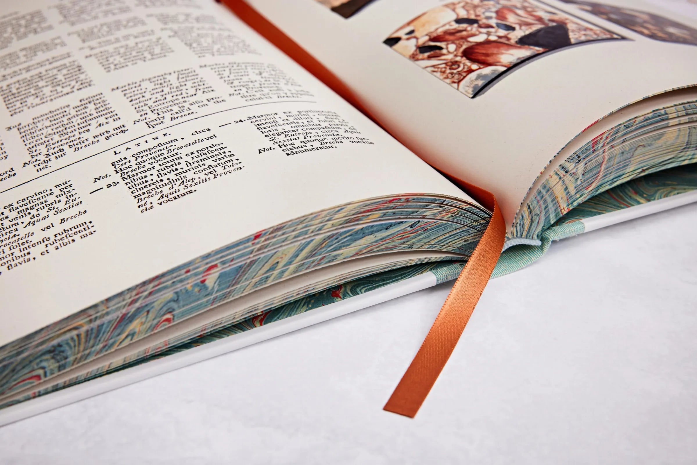 Jan Christiaan Sepp The Book of Marble | Antique Natural History Book | Rare Collectible Edition for Home Decor & Library Display