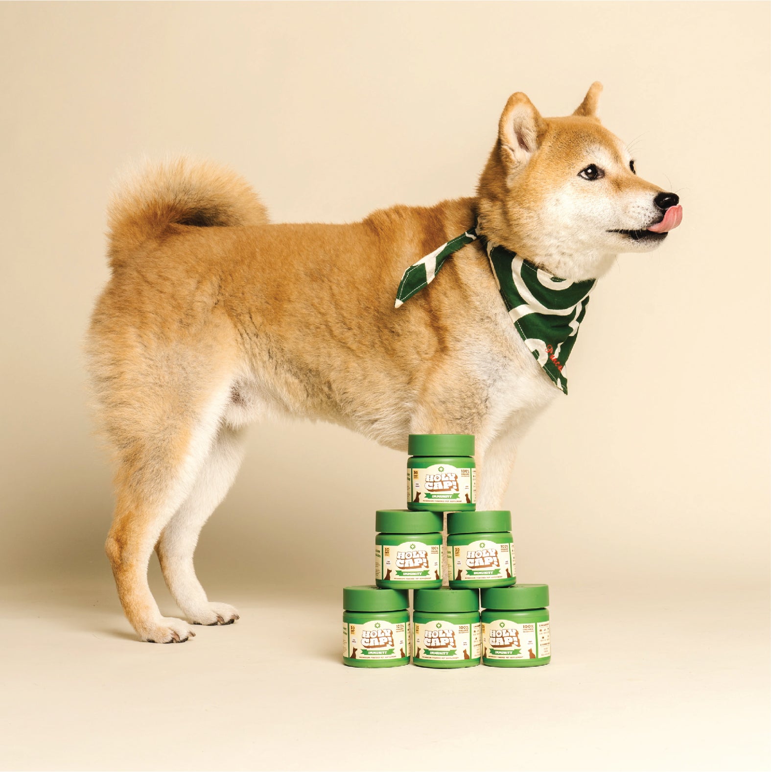 Organic Mushroom Supplement for Dogs & Cats - Immune System Booster with Reishi & Turkey Tail - Supports Joint Health & Vitality - Perfect for Senior Pets & Daily Wellness