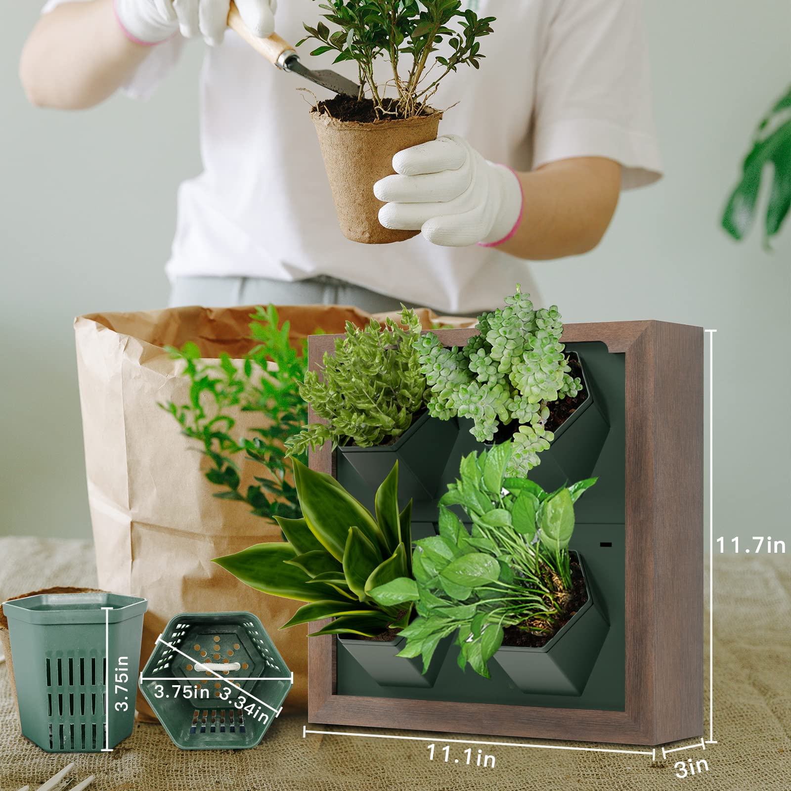 Vertical Wall Planter with 4 Self-Watering Pots - Indoor Wooden Frame Living Wall Planter for Home & Office Decor - No Screws Needed - Perfect for Small Spaces, Balconies & Urban Gardening